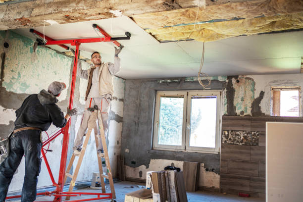 Best Geographic-Specific Insulation Services in Mokena, IL