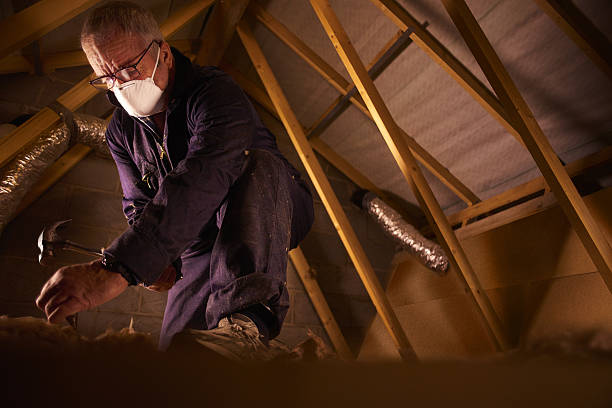 Trusted Mokena, IL Insulation Contractor Experts