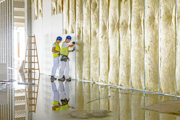 Best DIY Insulation Kits and Guidance in Mokena, IL
